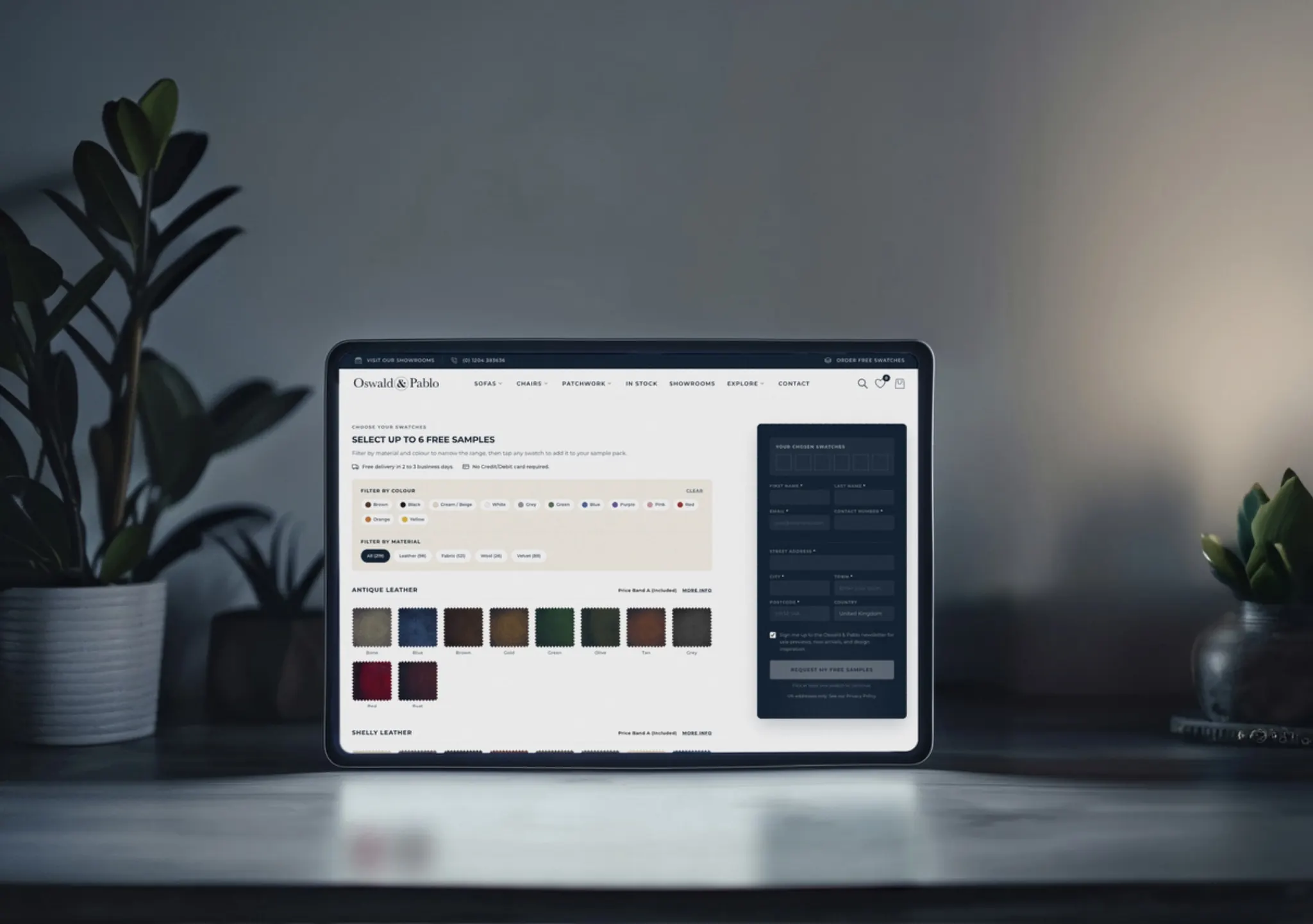 Oswald & Pablo case study visual for Website Design & Development